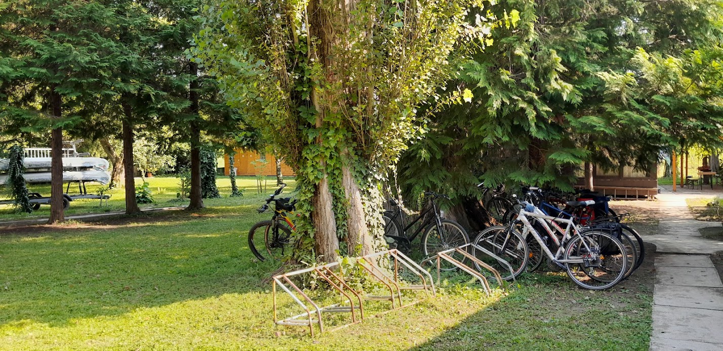 7 Foto.jpg